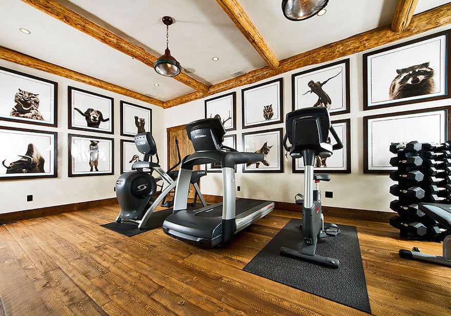 This small home gym is equipped with three cardio options. A Life Fitness treadmill and bike along with a Cybex Arc Trainer for an at home commercial gym experience.