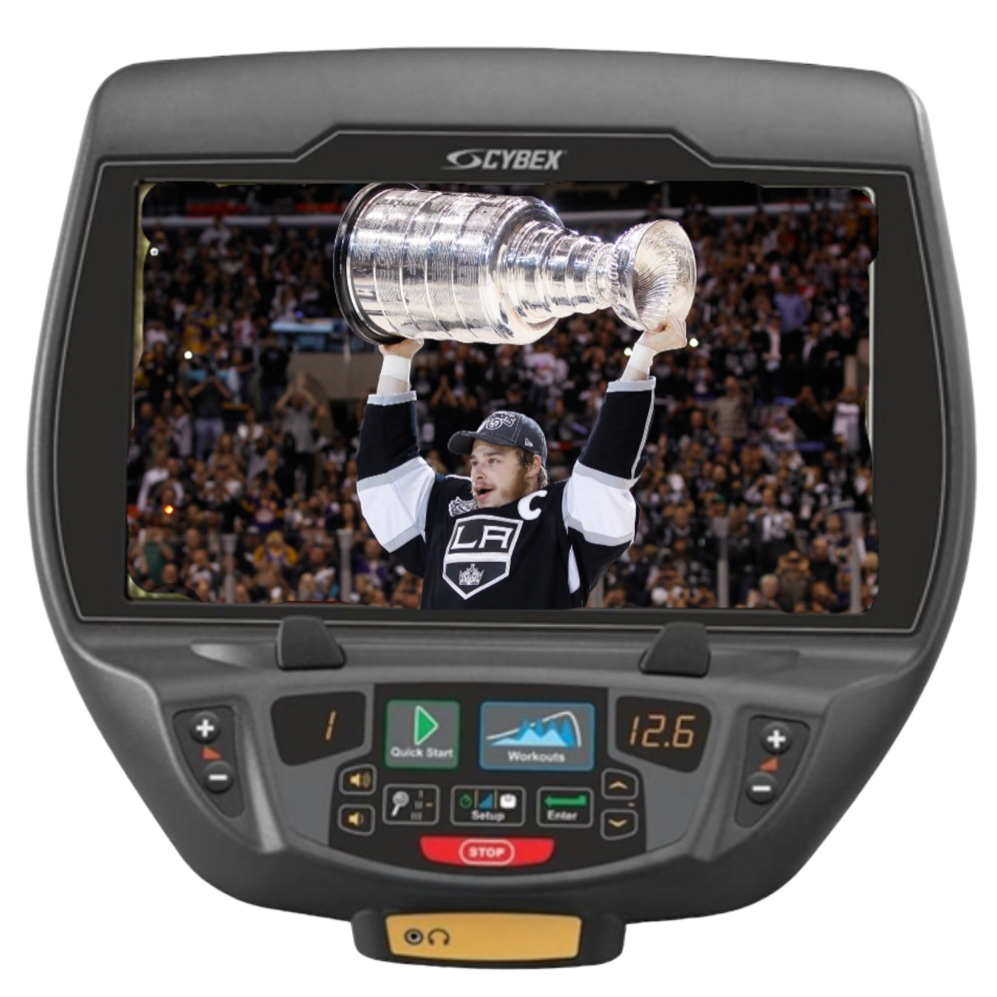 Cybex 625AT w/ E3 Console Total Body Arc Trainer